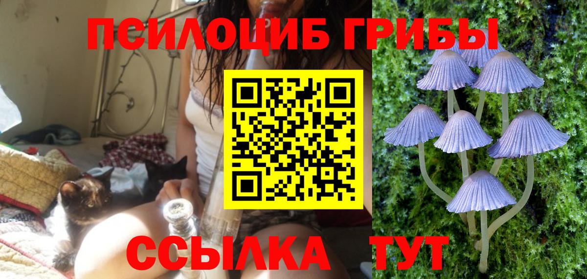 Ахтубинск  Галлюциногенные грибы ЛСД  Вход с VPN 